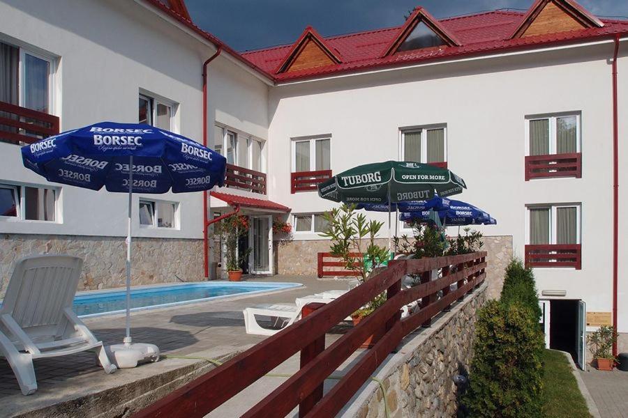 Hotel Domnitei Călimăneşti Kültér fotó