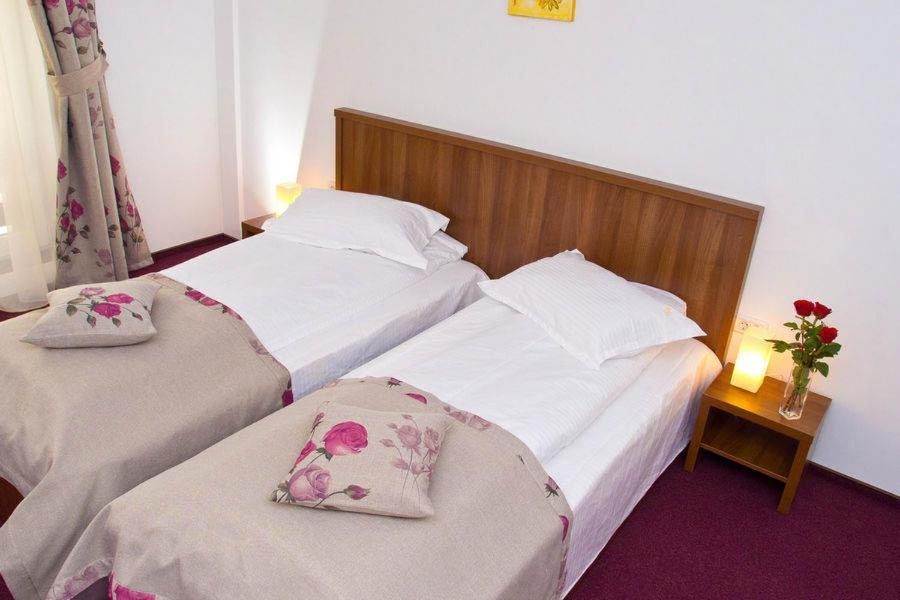 Hotel Domnitei Călimăneşti Kültér fotó